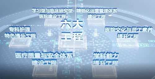 雙城聯動 青島海慈醫療集團學科建設年與杭州軟件開發的協同發展之路